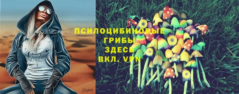 Галлюциногенные грибы Psilocybe  Партизанск 