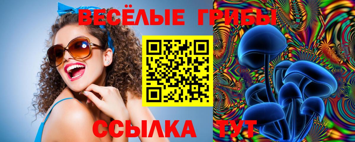 Галлюциногенные грибы Psilocybe  Галлюциногенные грибы GOLDEN TEACHER  Вход с VPN  Партизанск 
