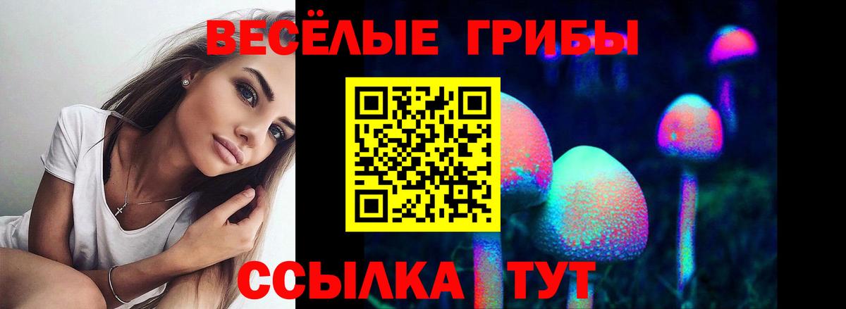 Псилоцибиновые грибы Cubensis Партизанск